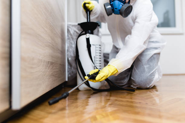 Best Exterminator Services  in Bedminster, NJ