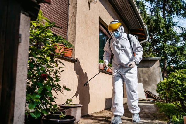 Best Pest Control for Homes  in Bedminster, NJ