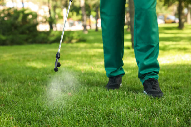 Best Pest Control Treatment  in Bedminster, NJ