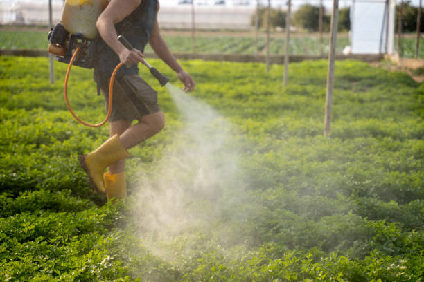 Pest Control Cost in Bedminster, NJ