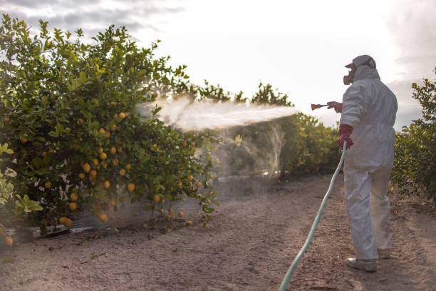 Best Local Pest Control Services  in Bedminster, NJ