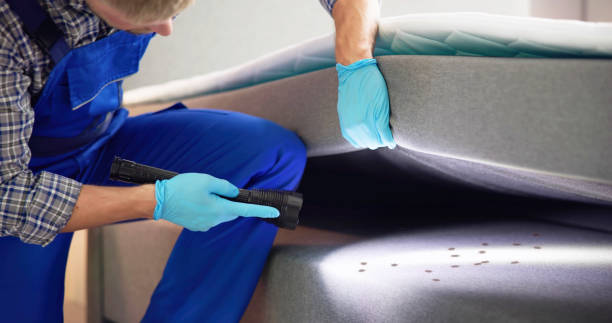 Best Mosquito Control Services  in Bedminster, NJ