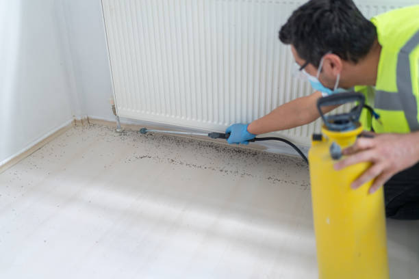 Best Insect Control  in Bedminster, NJ